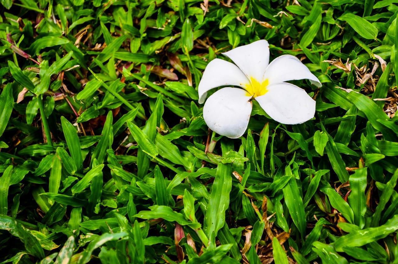 Chomphu Resort Khao Lak Zewnętrze zdjęcie